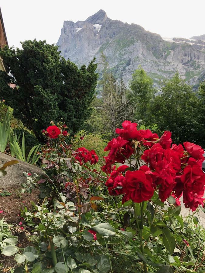 Chalet Zur Hoehe Lägenhet Grindelwald Exteriör bild